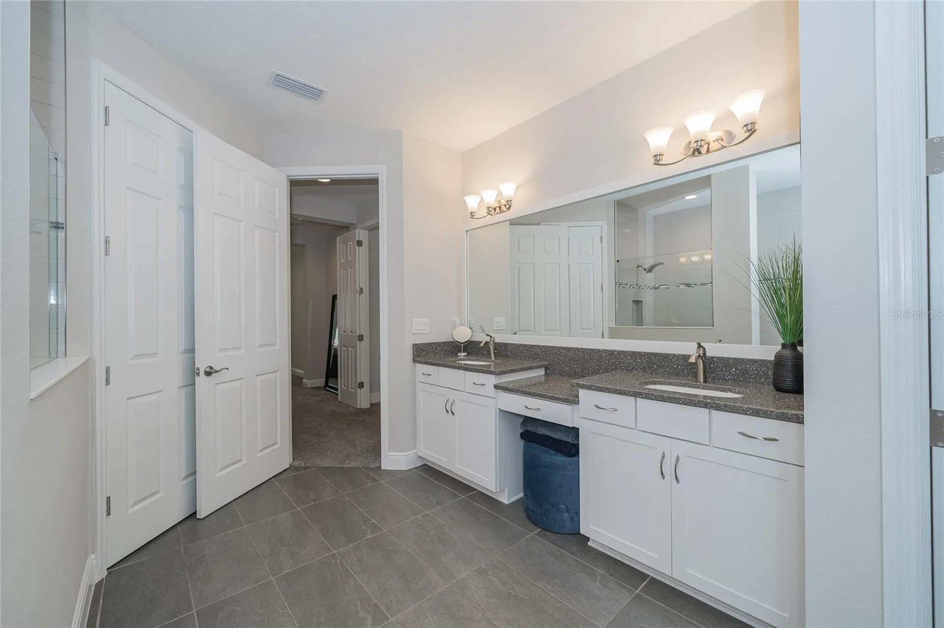 8687 Birchleaf Court Land O Lakes FL 34637