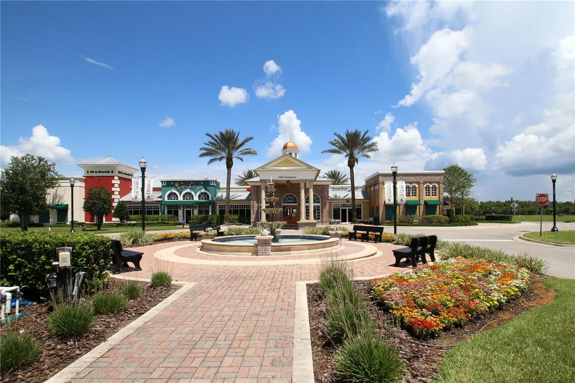 8687 Birchleaf Court Land O Lakes FL 34637