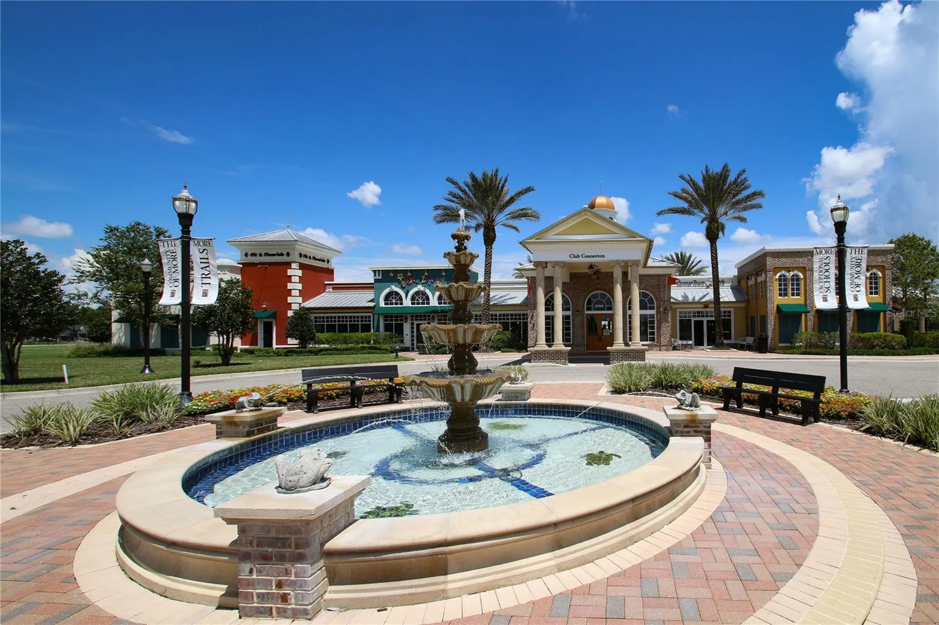 8687 Birchleaf Court Land O Lakes FL 34637
