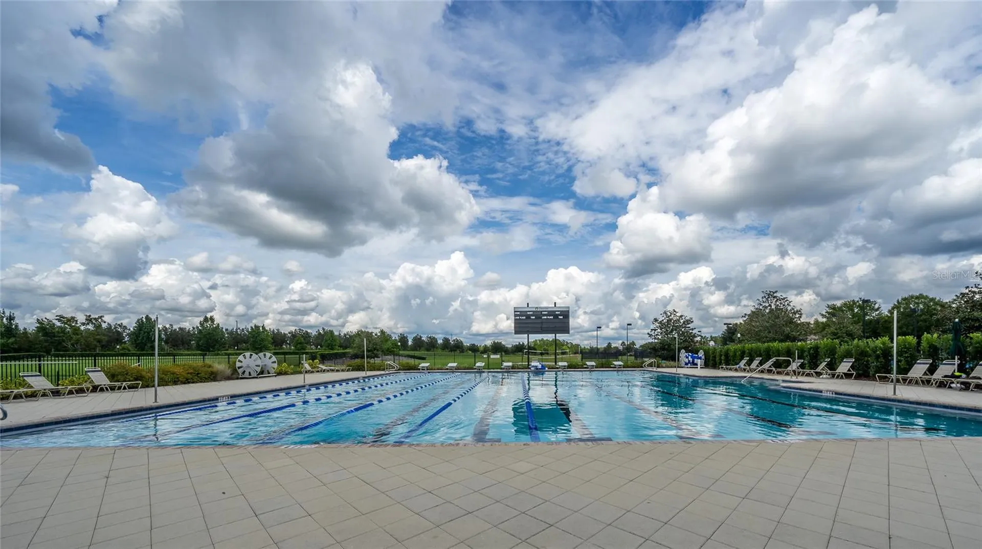 8687 Birchleaf Court Land O Lakes FL 34637