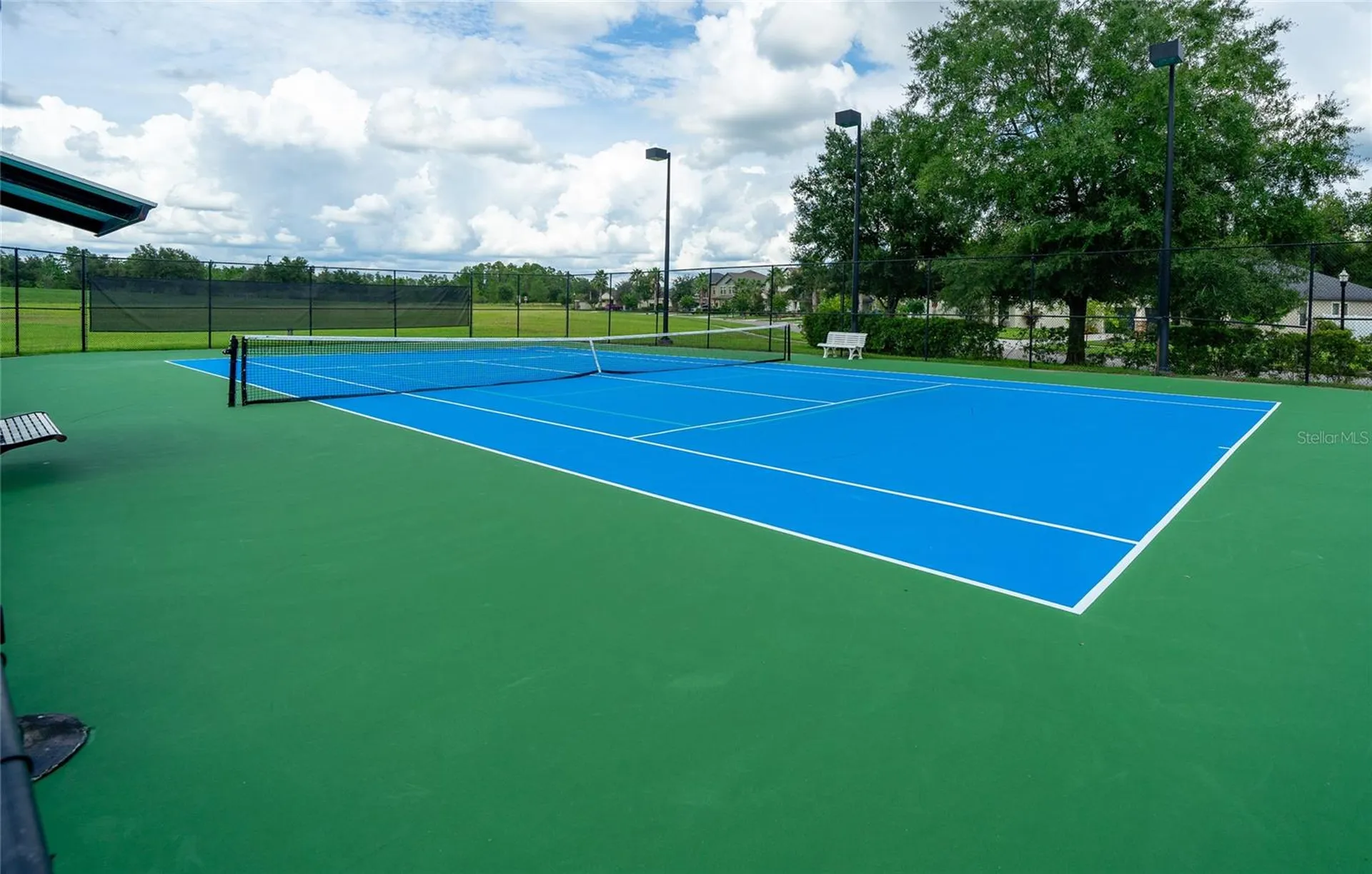 8687 Birchleaf Court Land O Lakes FL 34637