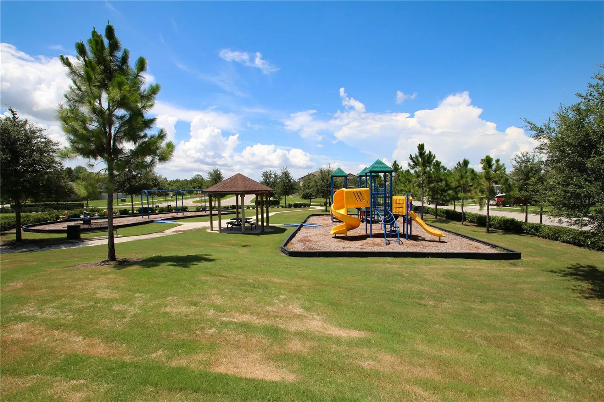 8687 Birchleaf Court Land O Lakes FL 34637