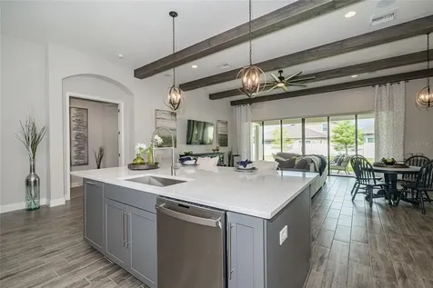 8687 Birchleaf Court Land O Lakes FL 34637