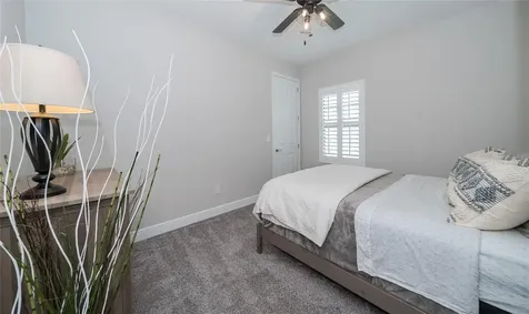 8687 Birchleaf Court Land O Lakes FL 34637