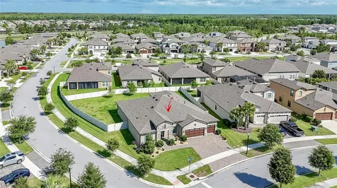 8687 Birchleaf Court Land O Lakes FL 34637