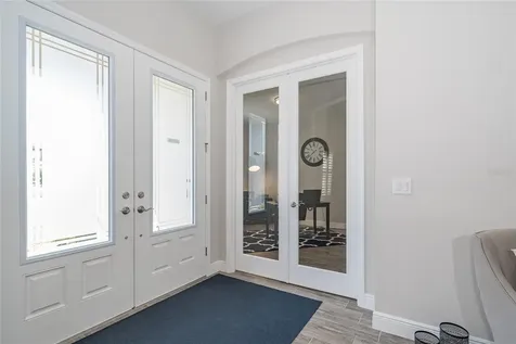 8687 Birchleaf Court Land O Lakes FL 34637