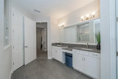 8687 Birchleaf Court Land O Lakes FL 34637