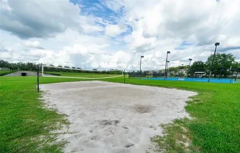 8687 Birchleaf Court Land O Lakes FL 34637