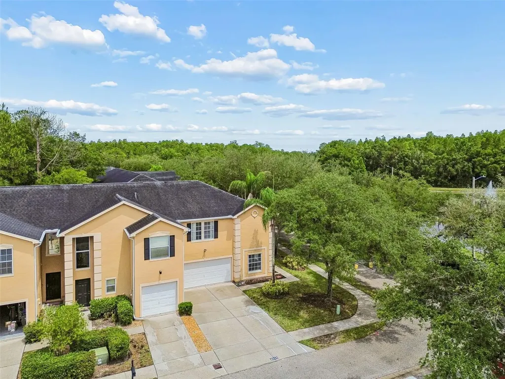 6224 Clifton Palms Drive Tampa FL 33647