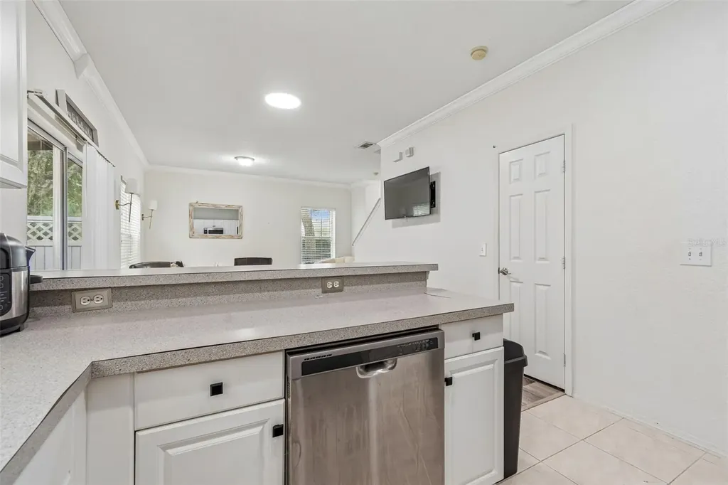 6224 Clifton Palms Drive Tampa FL 33647
