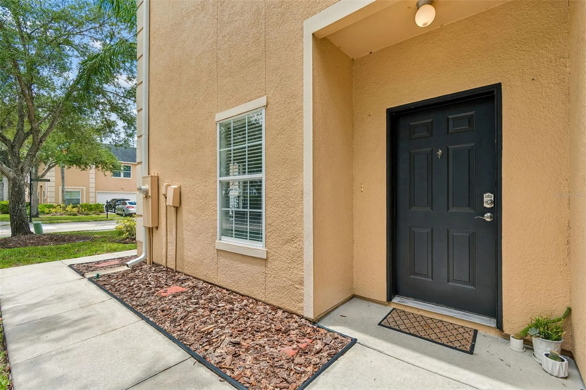 6224 Clifton Palms Drive Tampa FL 33647
