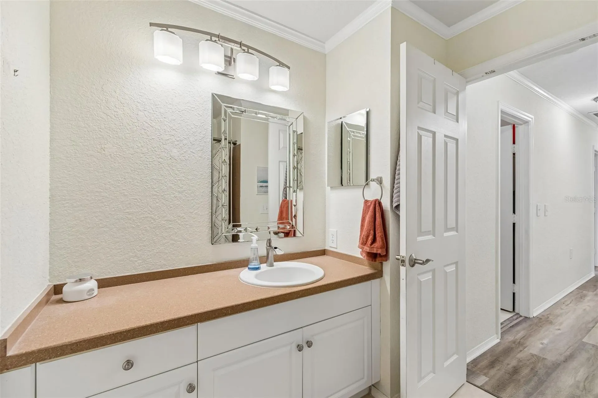 6224 Clifton Palms Drive Tampa FL 33647