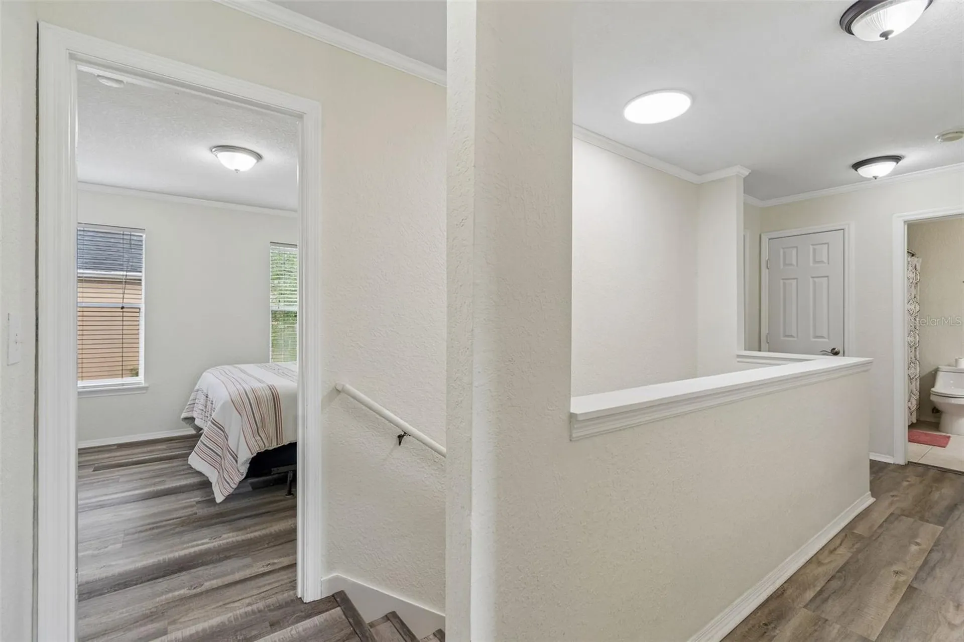 6224 Clifton Palms Drive Tampa FL 33647
