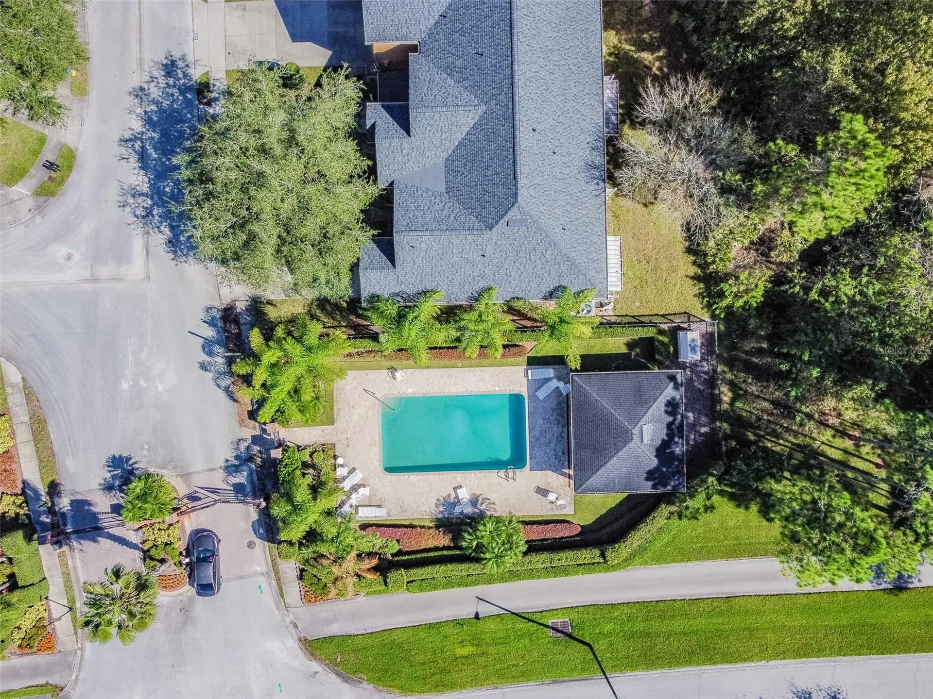 6224 Clifton Palms Drive Tampa FL 33647