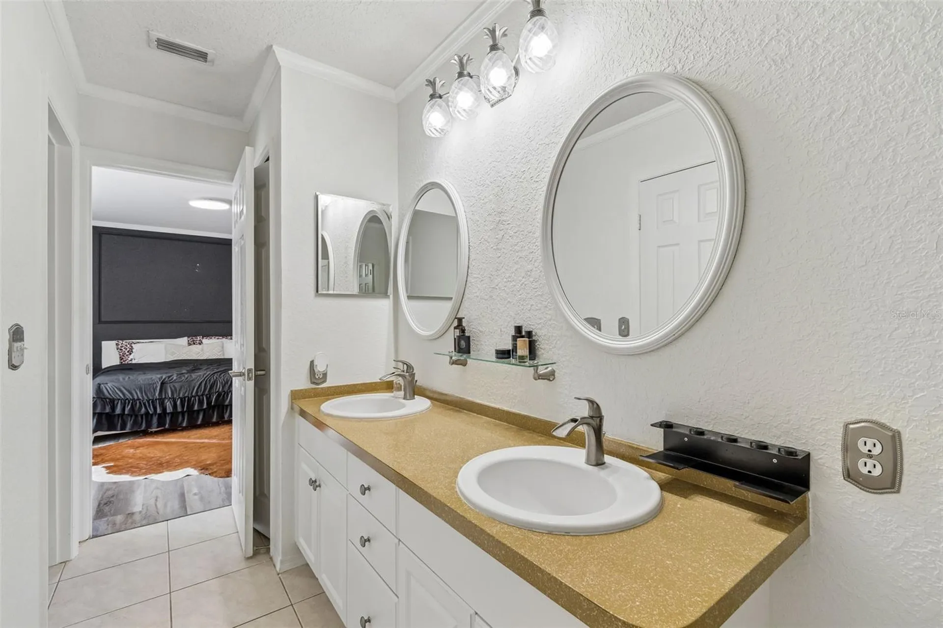 6224 Clifton Palms Drive Tampa FL 33647