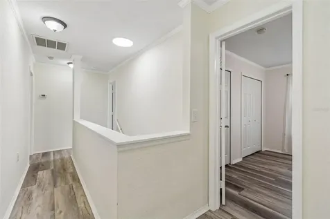 6224 Clifton Palms Drive Tampa FL 33647