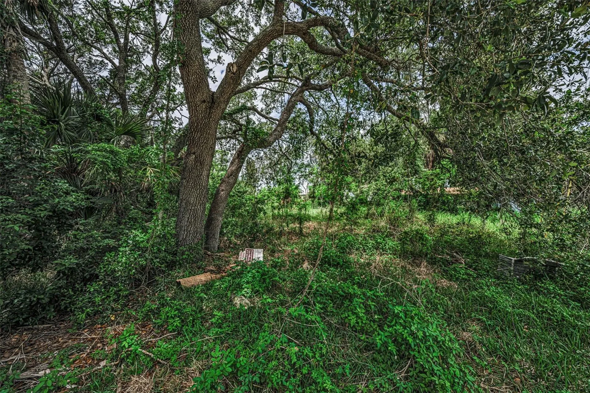 Lot 15 Rice Road Hudson FL 34667