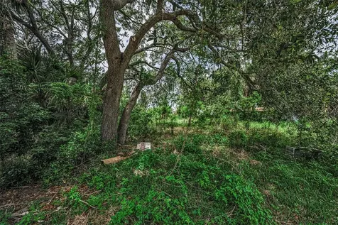 Lot 15 Rice Road Hudson FL 34667