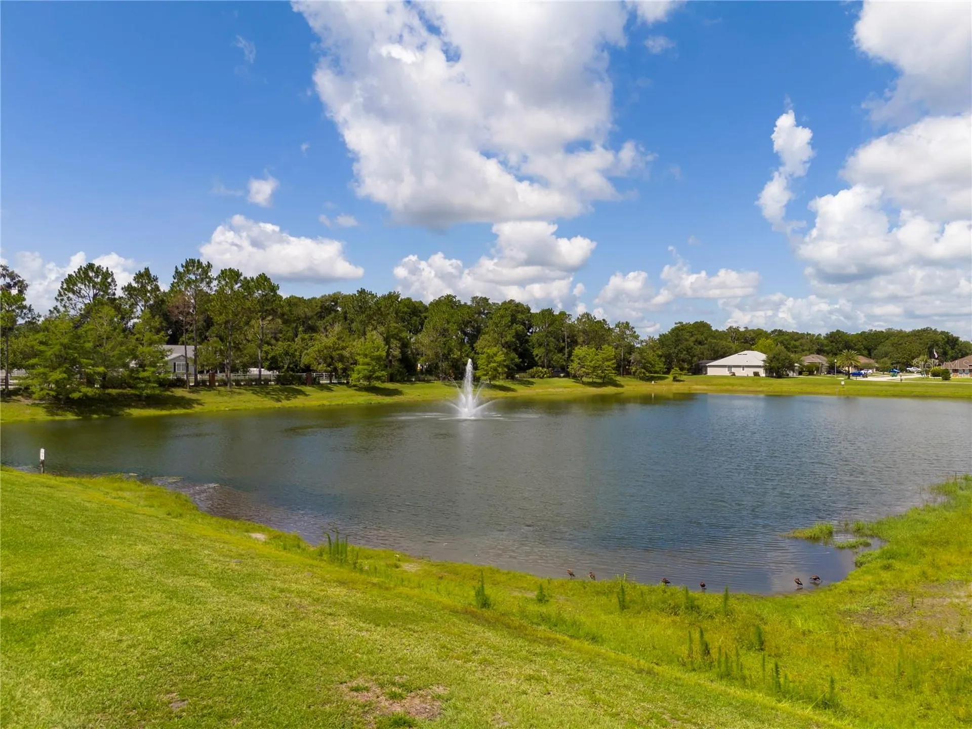 603 Brittle Fern Avenue Deland FL 32720