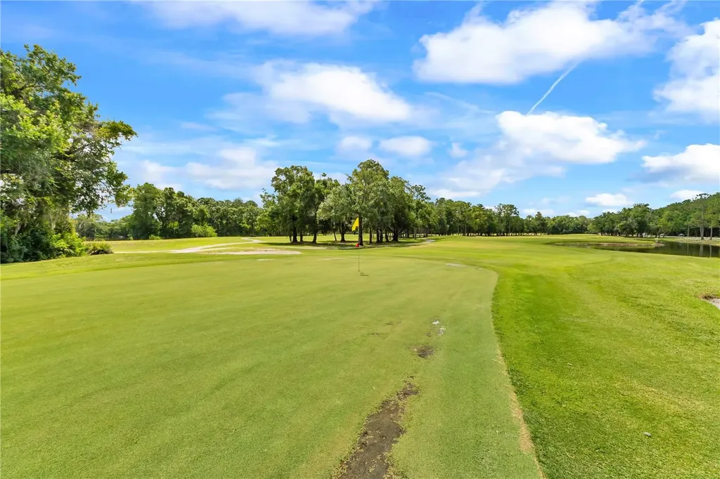 13115 Royal George Avenue Odessa FL 33556