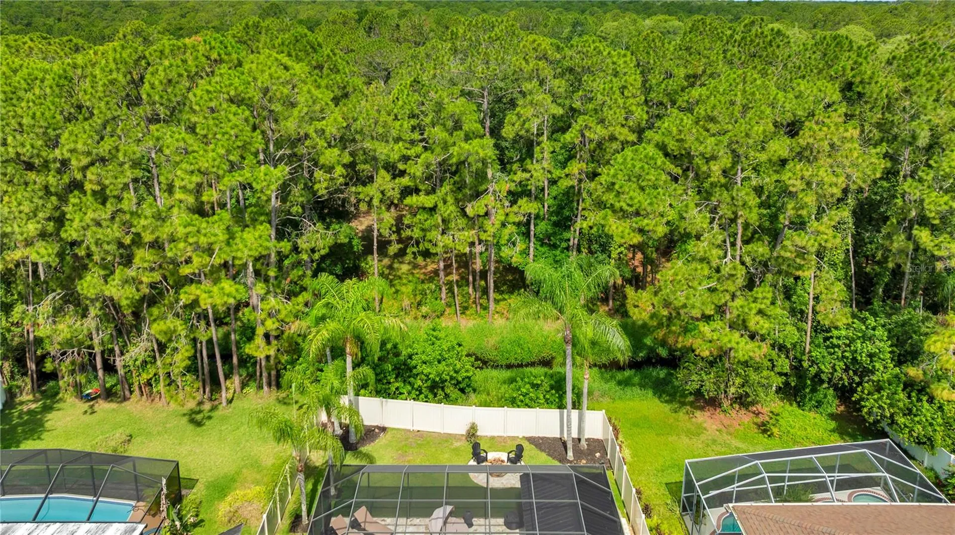 13115 Royal George Avenue Odessa FL 33556