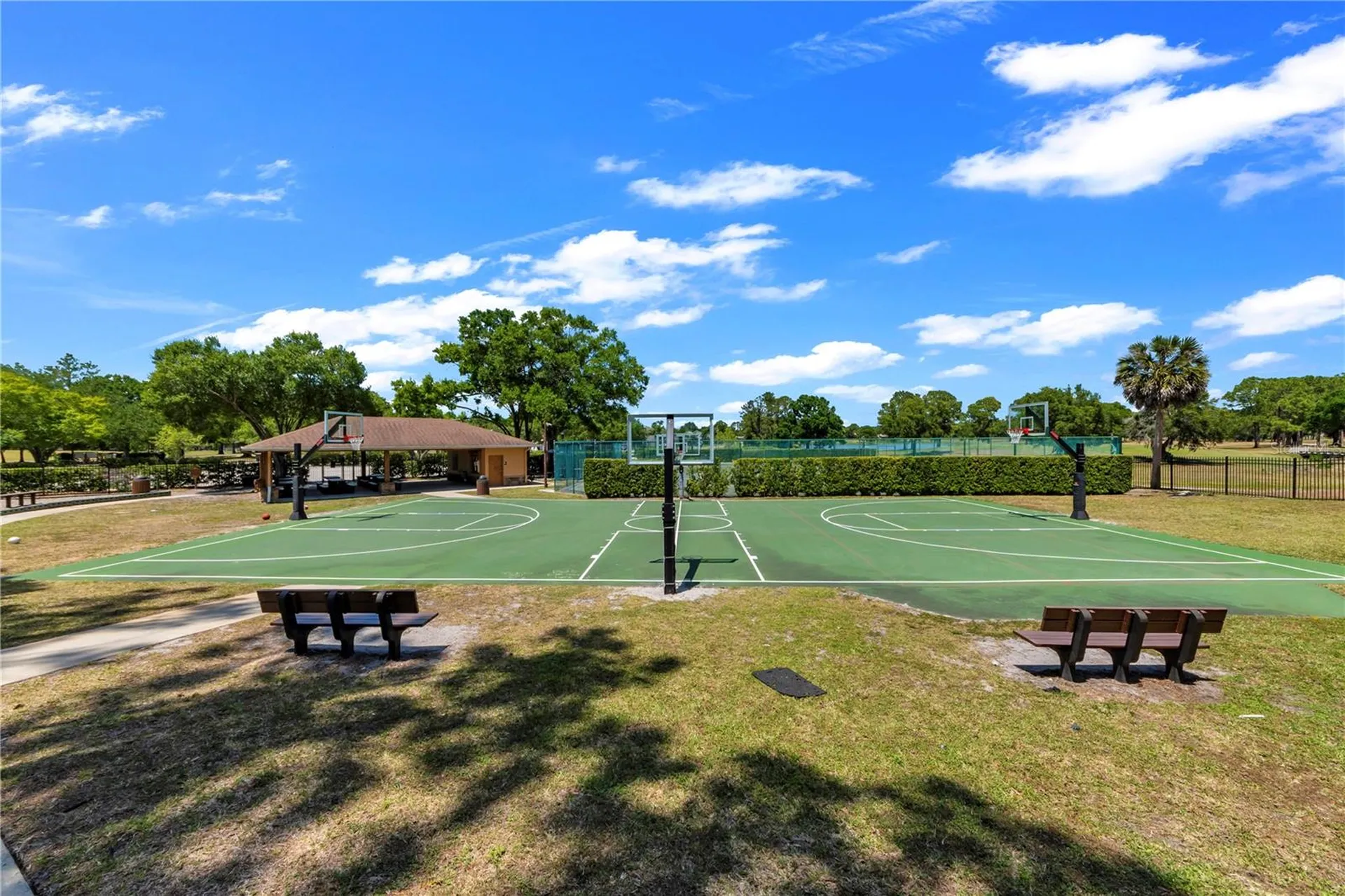 13115 Royal George Avenue Odessa FL 33556