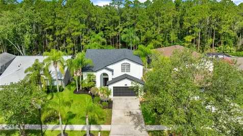 13115 Royal George Avenue Odessa FL 33556