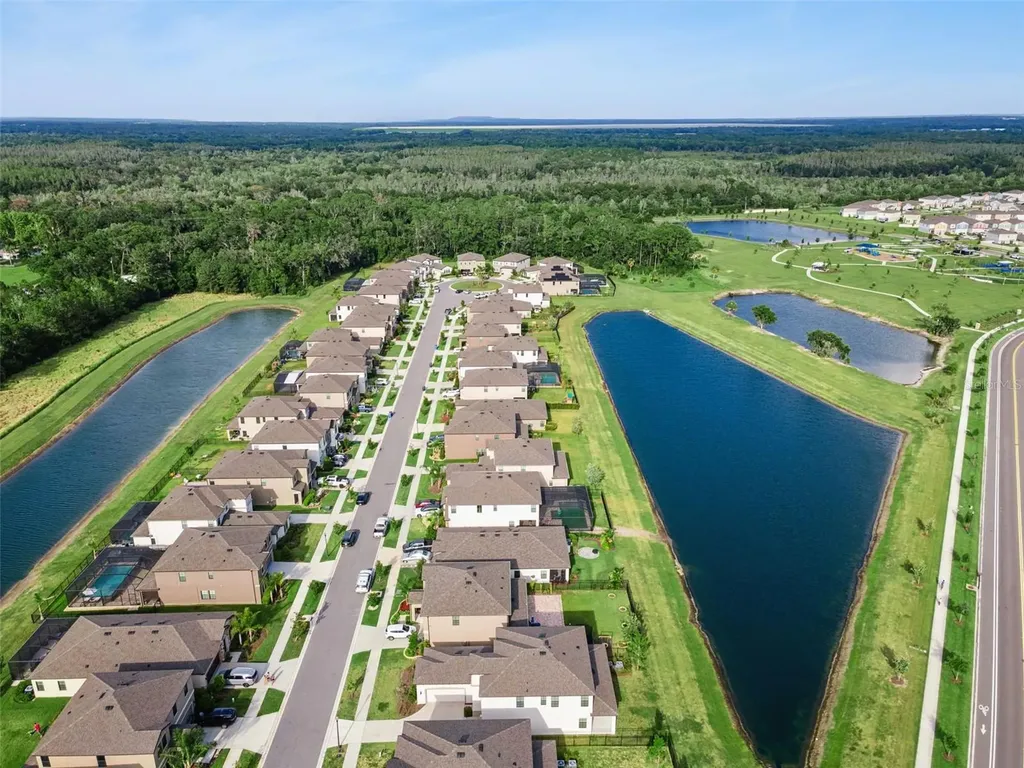 14825 Paddock Pond Avenue Lithia FL 33547