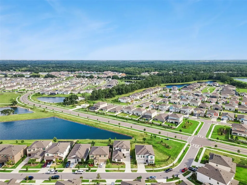 14825 Paddock Pond Avenue Lithia FL 33547