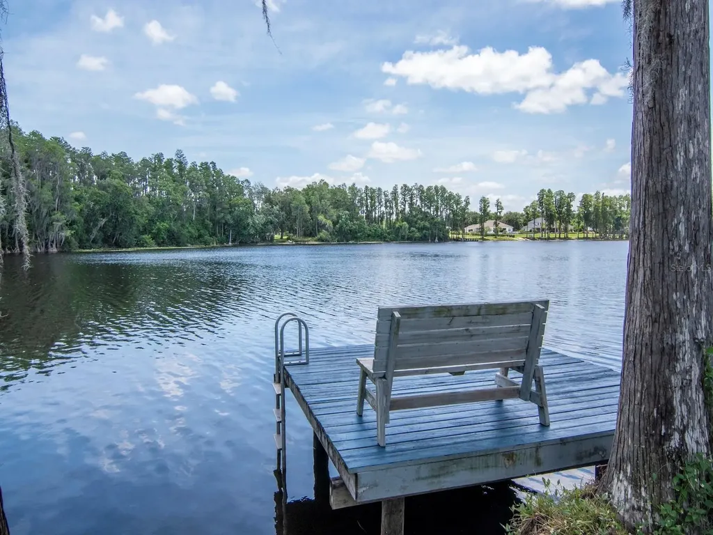 219 Willow Bend Parkway Lutz FL 33549