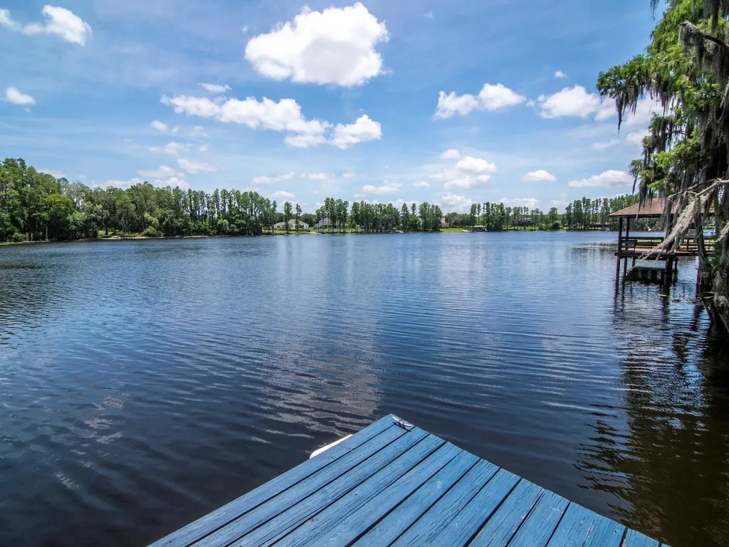 219 Willow Bend Parkway Lutz FL 33549