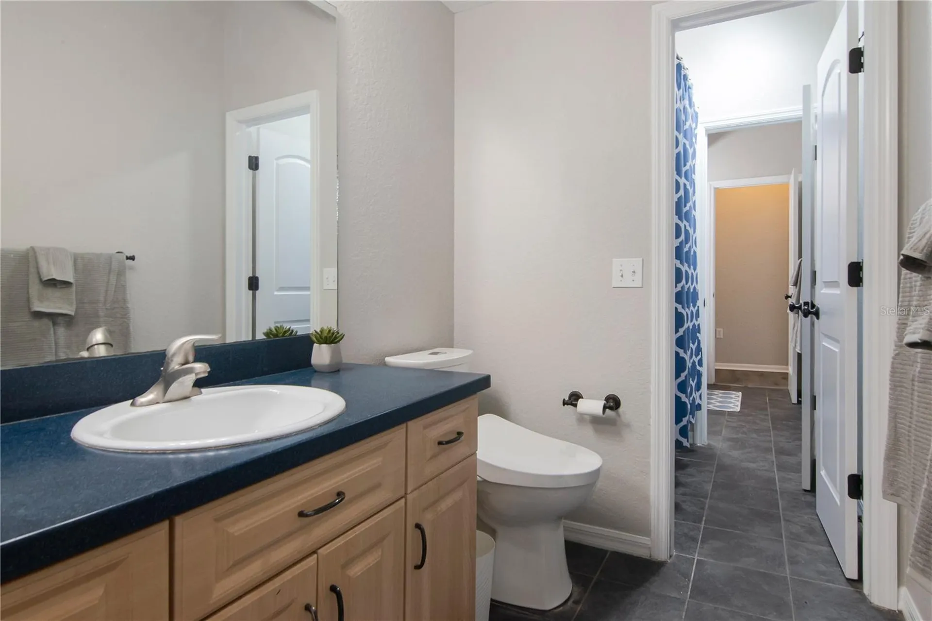 219 Willow Bend Parkway Lutz FL 33549