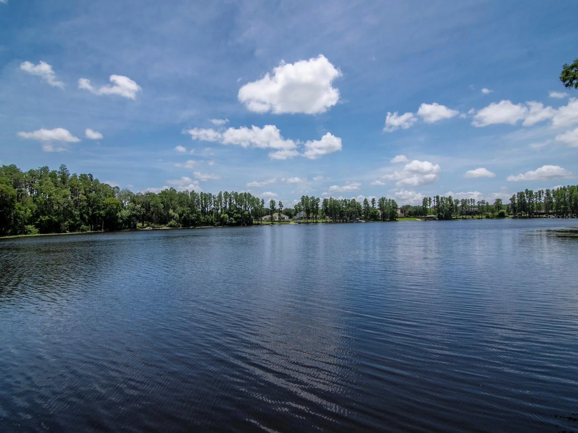 219 Willow Bend Parkway Lutz FL 33549