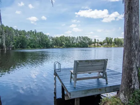 219 Willow Bend Parkway Lutz FL 33549