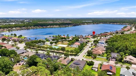 16339 Ivy Lake Drive Odessa FL 33556