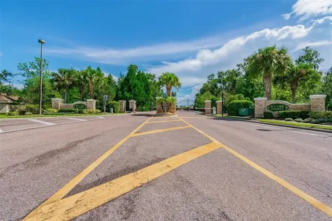 16339 Ivy Lake Drive Odessa FL 33556