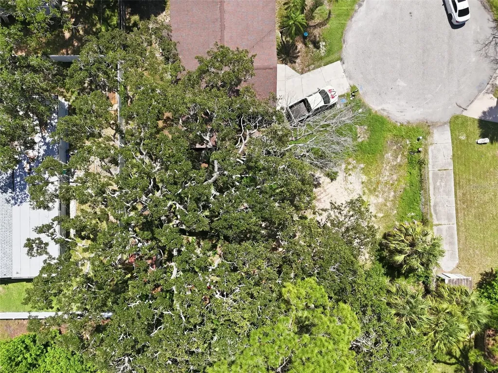 4925 Amherst Court New Port Richey FL 34652