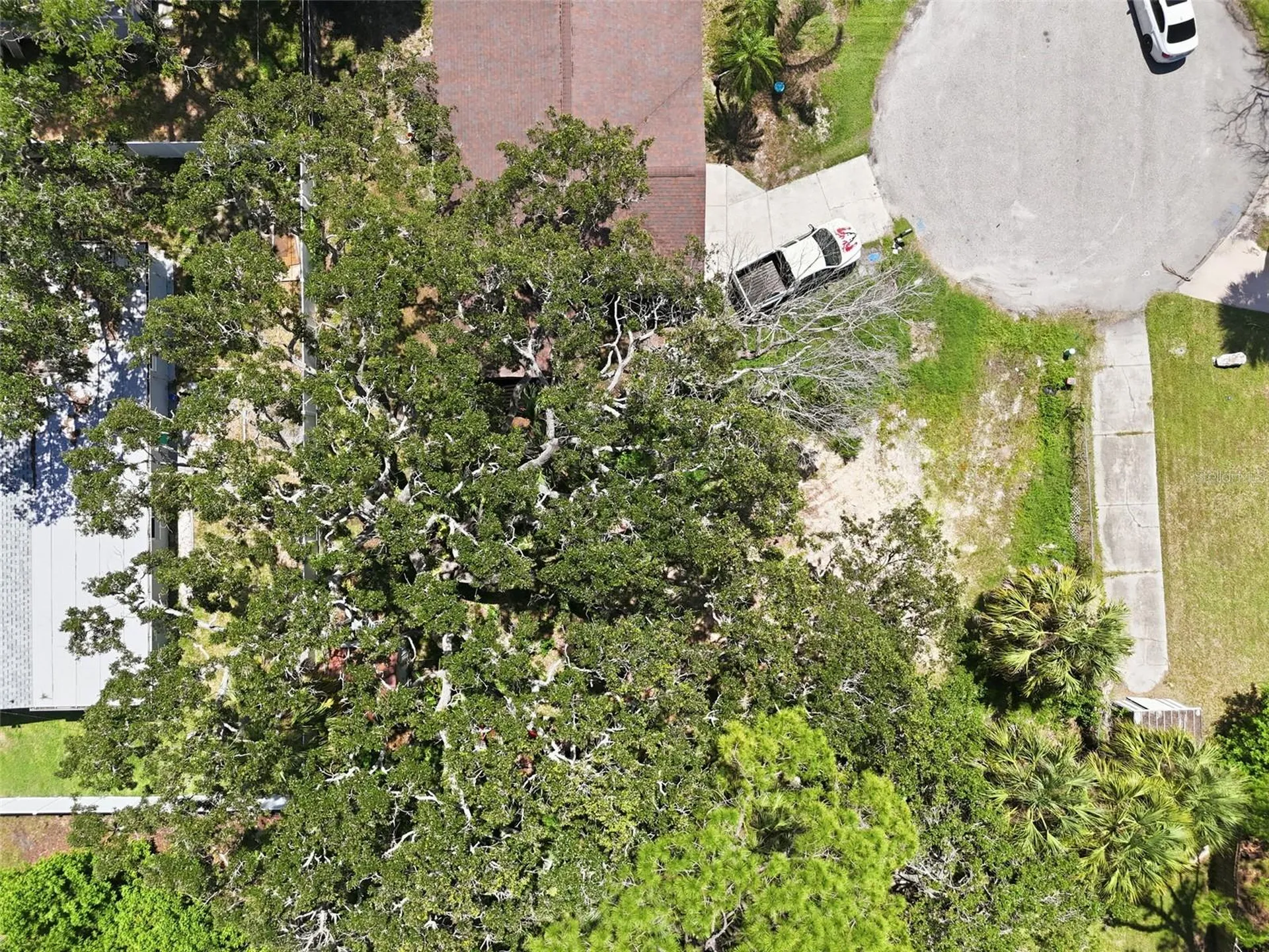 4925 Amherst Court New Port Richey FL 34652