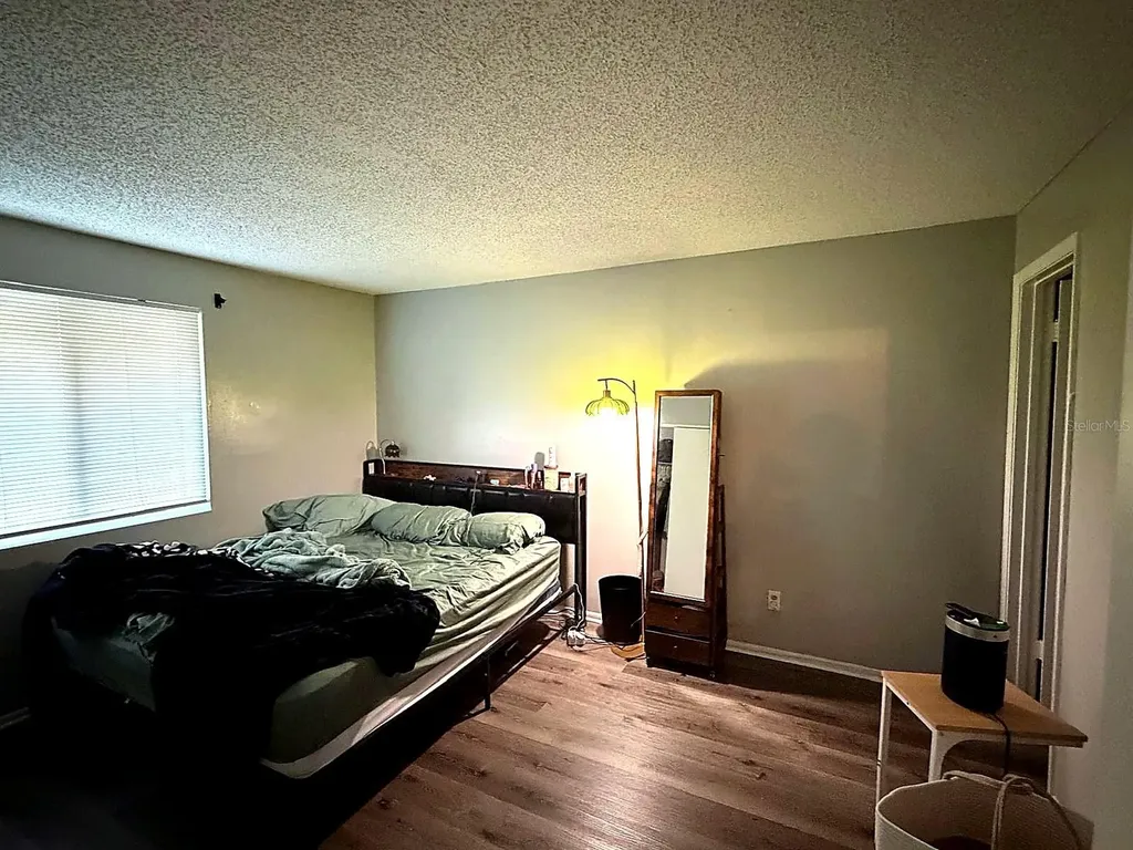 228 Thorn Tree Place Brandon FL 33510