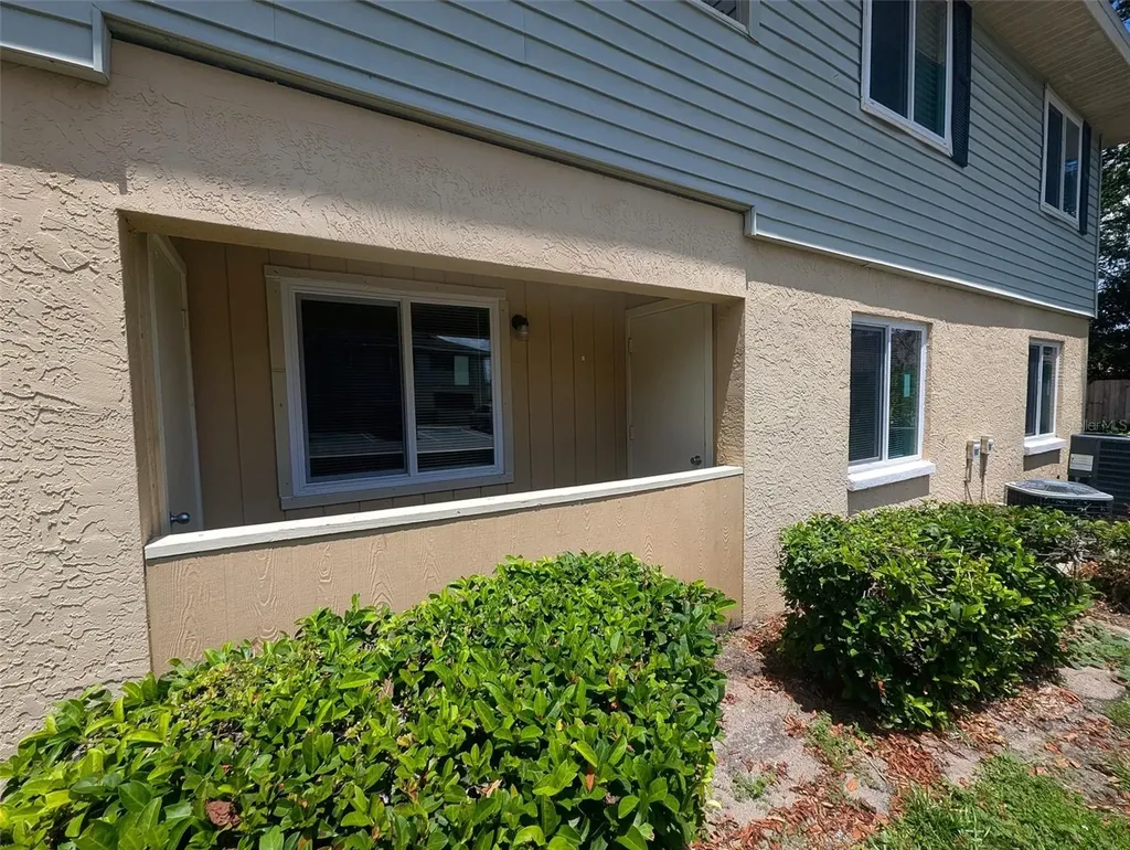 228 Thorn Tree Place Brandon FL 33510