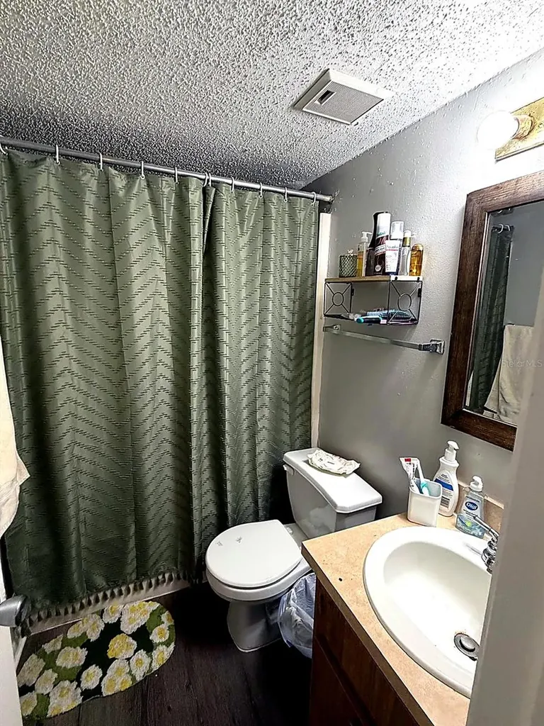 228 Thorn Tree Place Brandon FL 33510