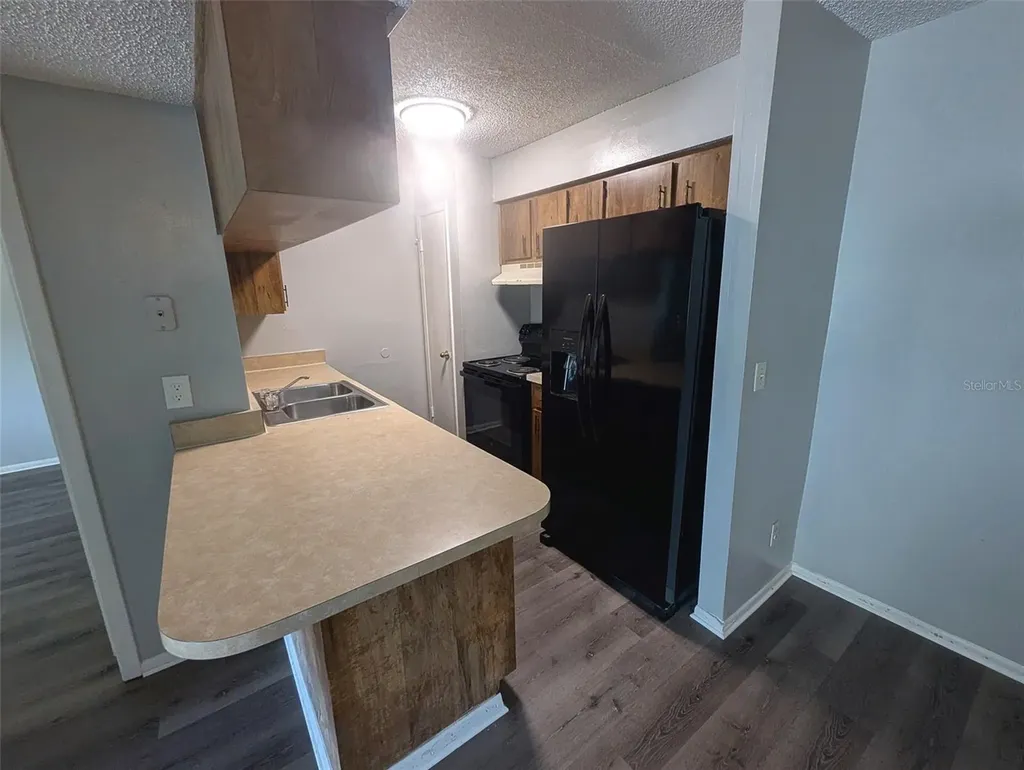 228 Thorn Tree Place Brandon FL 33510