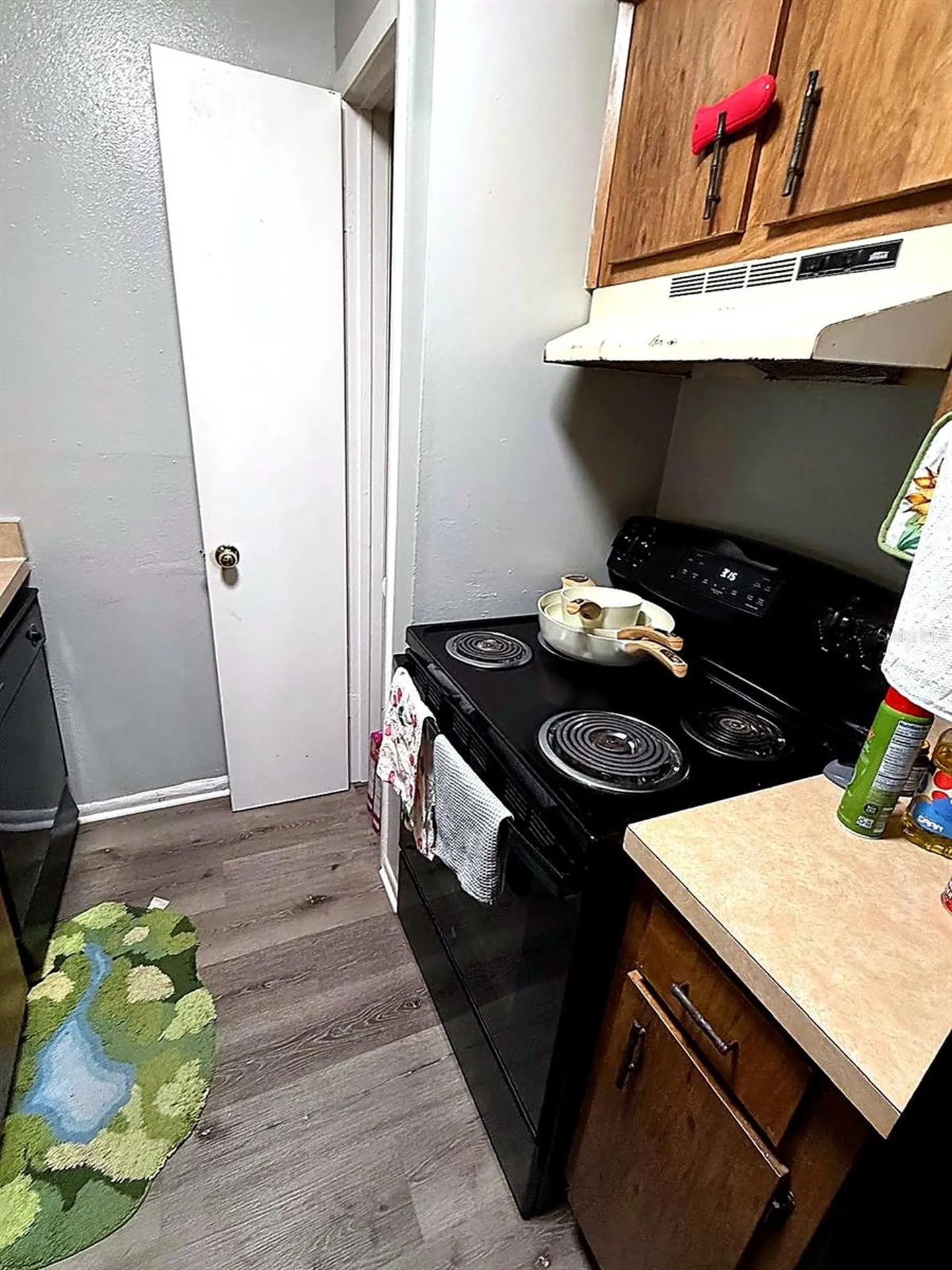 228 Thorn Tree Place Brandon FL 33510