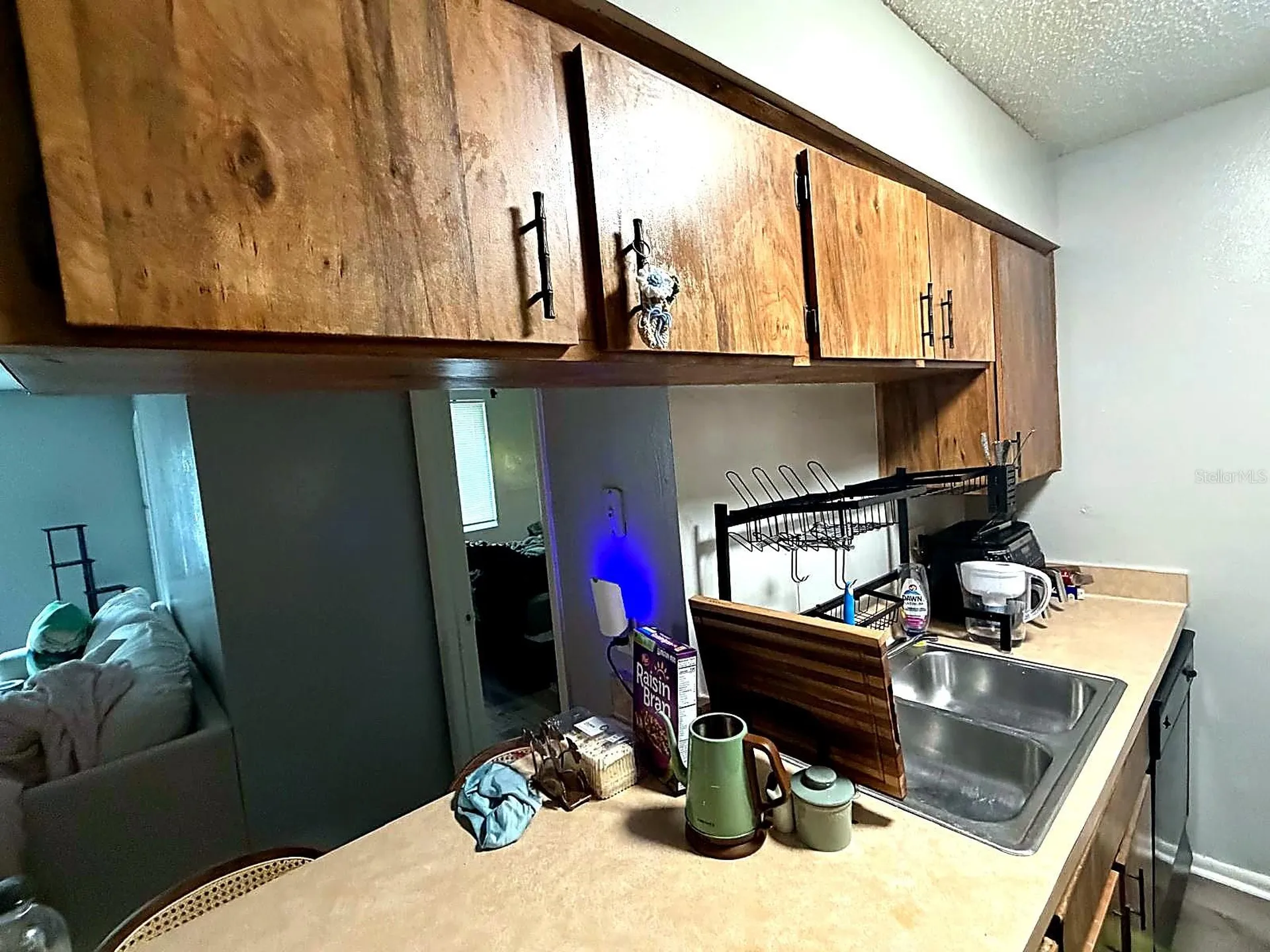 228 Thorn Tree Place Brandon FL 33510