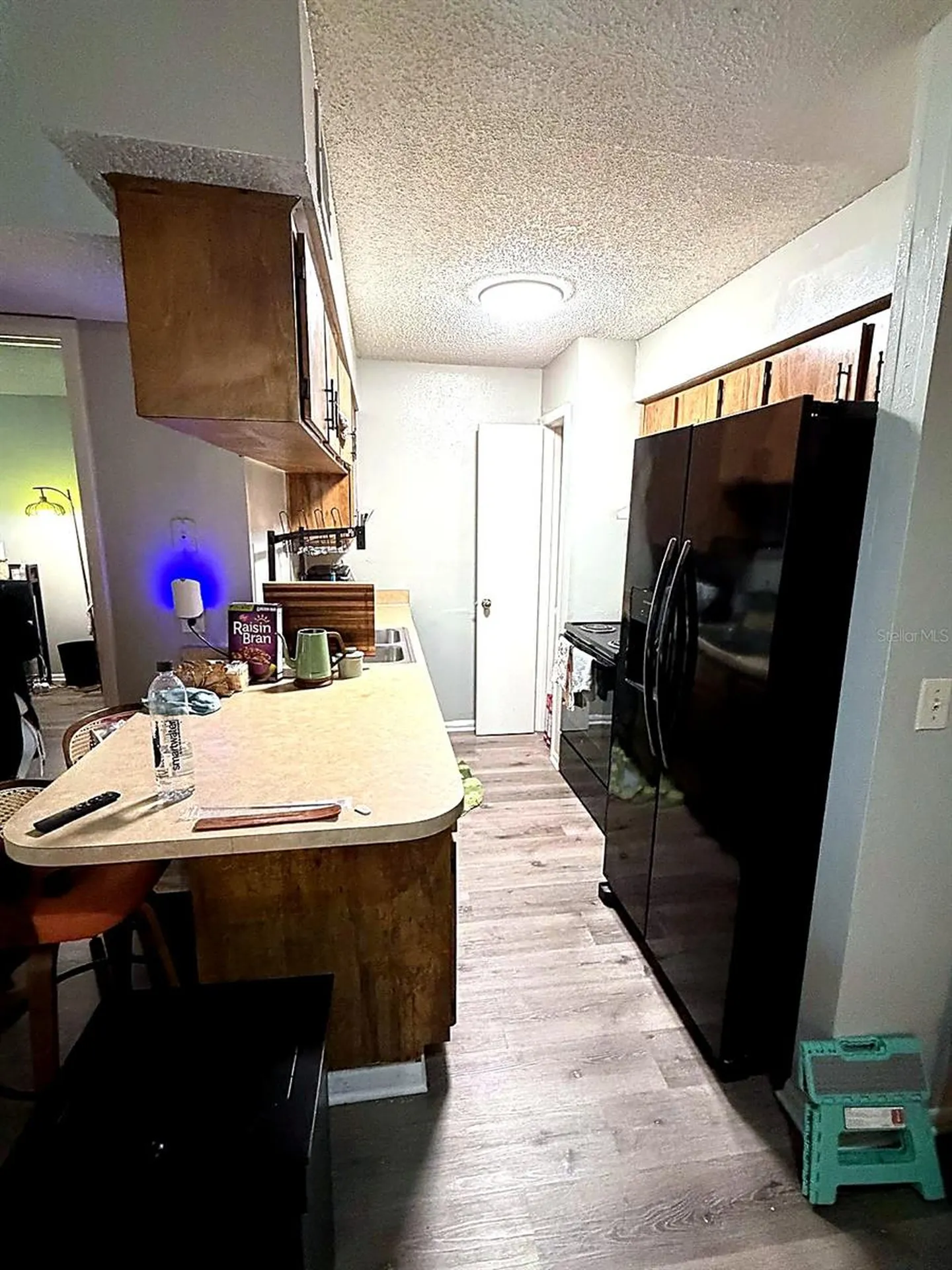 228 Thorn Tree Place Brandon FL 33510