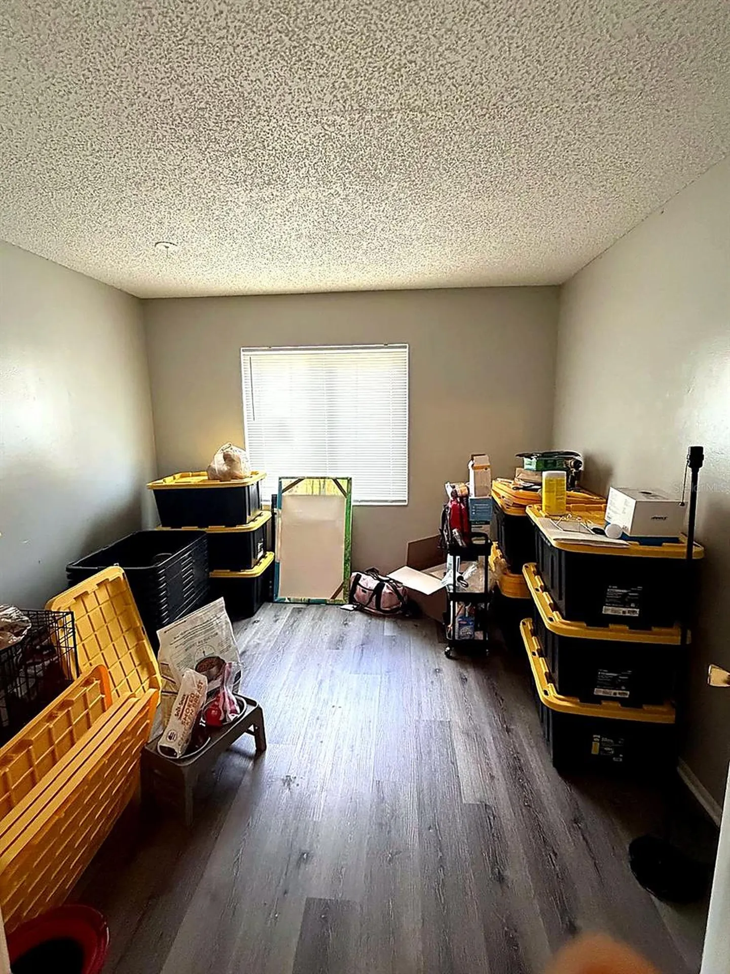 228 Thorn Tree Place Brandon FL 33510