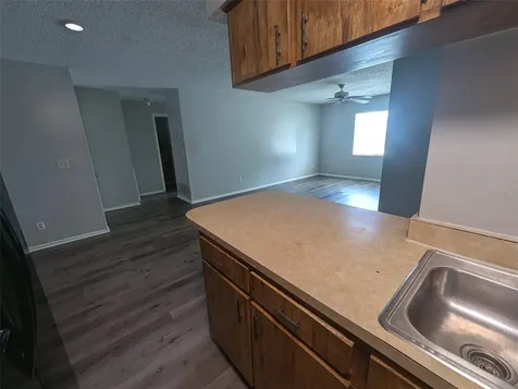 228 Thorn Tree Place Brandon FL 33510