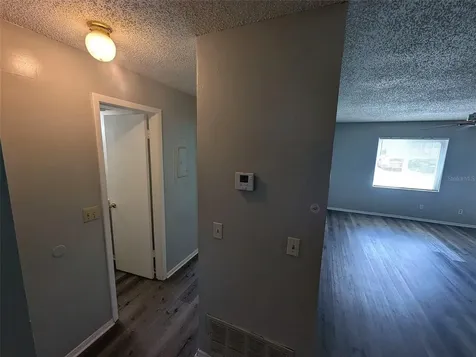 228 Thorn Tree Place Brandon FL 33510