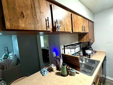 228 Thorn Tree Place Brandon FL 33510
