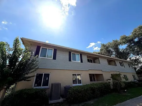 228 Thorn Tree Place Brandon FL 33510